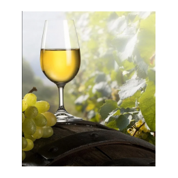 White Wine Case 6 Bottles